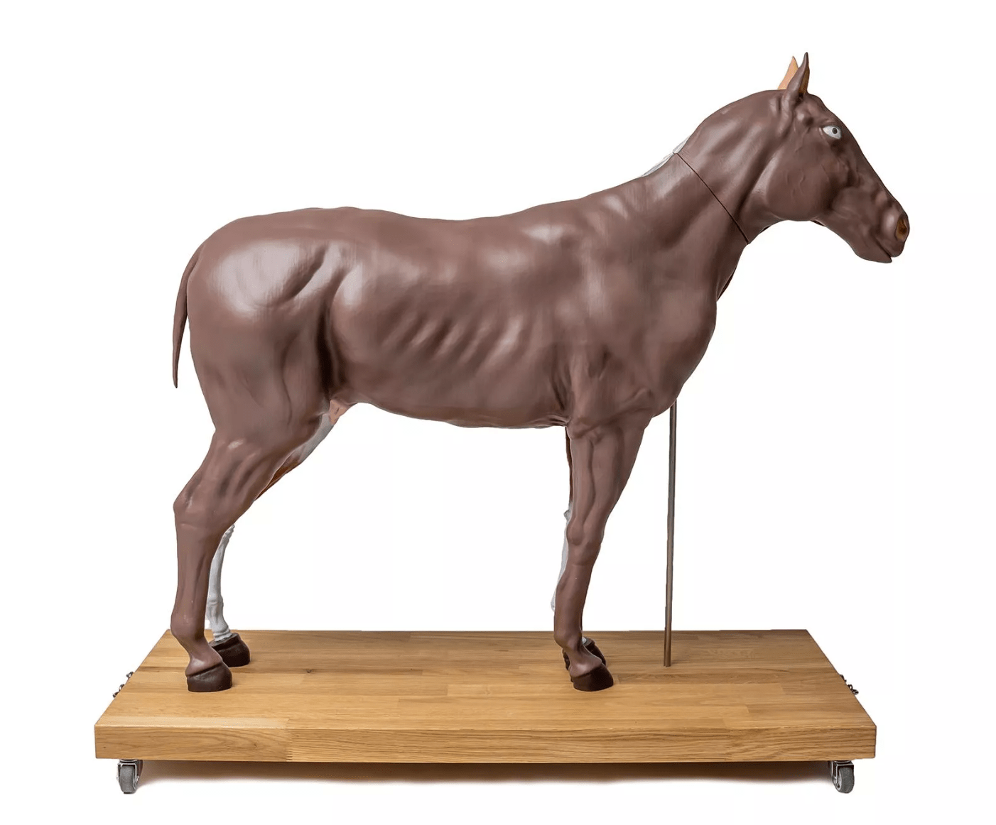 Pferde Modell (Stute), 16 - teilig, 1/3 natürliche Größe - Erler - Zimmer